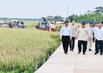 Presiden Prabowo Pimpin Panen Raya di Karawang: Umumkan Swasembada dan Dorong Lompatan Teknologi Pertanian