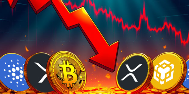 Ilustrasi Crypto.(ce)