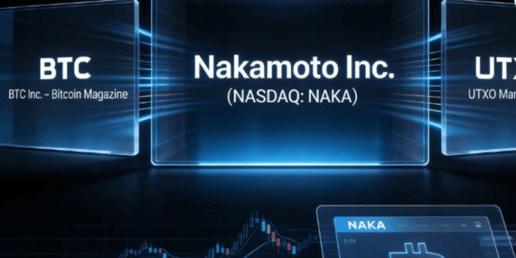 Ilustrasi Nakamoto Inc.(ce)