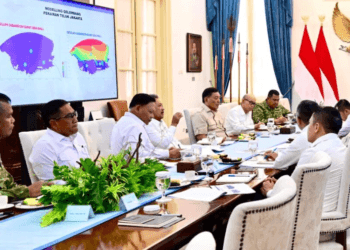 Presiden Prabowo Percepat Giant Sea Wall Pantura, Lindungi 30 Juta Warga dan 60% Kawasan Industri Nasional