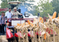 Presiden Prabowo Turun Langsung Panen Raya Jagung di Tuban: Perkuat Ketahanan Pangan Nasional!