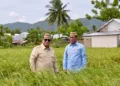 Presiden Prabowo Kagum Lihat Teknologi Pertanian Baru: Optimistis Indonesia Segera Jadi Lumbung Pangan Dunia
