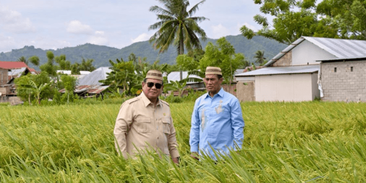 Presiden Prabowo Subianto didampingi Menteri Pertanian Andi Amran Sulaiman meninjau Teknologi Budidaya Padi Pertanian Modern di Gorontalo, Rabu, 24 Juni 2026.(Presdienri)