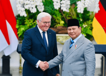 Presiden Prabowo dan Presiden Steinmeier Buka Babak Baru Kerja Sama Ekonomi, Investasi, hingga Transisi Energi