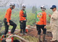 Presiden Prabowo Bergerak Cepat Tangani Karhutla, Dari Ruang Rapat Langsung Turun ke Lahan Terbakar