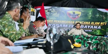 Pemeritah Telah Salurkan Rp200 Miliar untuk Gempa NTT, Setiap Kabupaten di Flores Dapat Rp20 Miliar