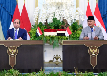 Presiden Prabowo dan Presiden El-Sisi Kompak Bela Palestina dan Redakan Ketegangan di Timur Tengah
